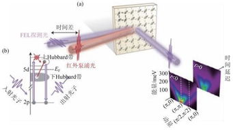 X射線自由電子激光 物理學前沿探索與磁電材料研發的變革性工具